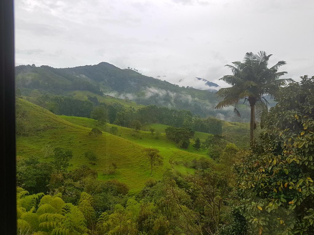 Mirador De Los Cedros Саленто Екстериор снимка