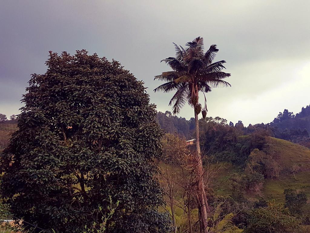 Mirador De Los Cedros Саленто Екстериор снимка